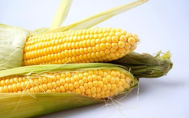 Ăn gì để giúp mạch máu khỏe mạnh hơn? Đầu tiên là ngô, ngô chứa nhiều axit béo không no, đặc biệt ngô chứa nhiều axit linoleic, hàm lượng axit linoleic lên tới hơn 60%. Dữ liệu liên quan cho thấy axit linoleic có thể giúp cơ thể chuyển hóa cholesterol và chất béo.