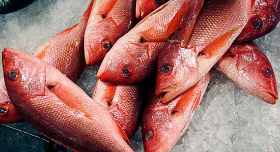 Ngộ độc thủy ngân không chỉ làm tổn thương niêm mạc miệng mà còn có tác động làm ăn mòn đến đường tiêu hóa, thận và mao mạch, hệ thống thần kinh, làm tổn thương não, cực kỳ đáng sợ.