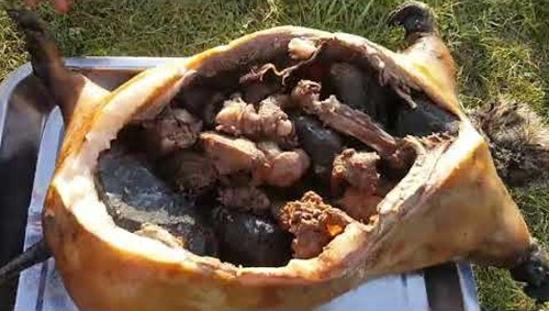 Theo tìm hiểu, vì rất béo nên món đặc sản Boodog thường được thưởng thức vào mùa đông, đóng vai trò quan trọng trong khẩu phần ăn của người Mông Cổ, giúp họ chống chọi với mùa đông khắc nghiệt.