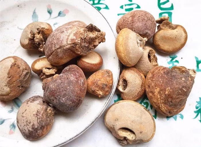 Ngày nay mức sống của con người ngày càng cao nhưng cũng có nhiều người mắc các bệnh hiểm nghèo, nan y. Trong số những bệnh này, bệnh ung thư là phổ biến nhất. Hàng năm, có rất nhiều người mất mạng vì ung thư.