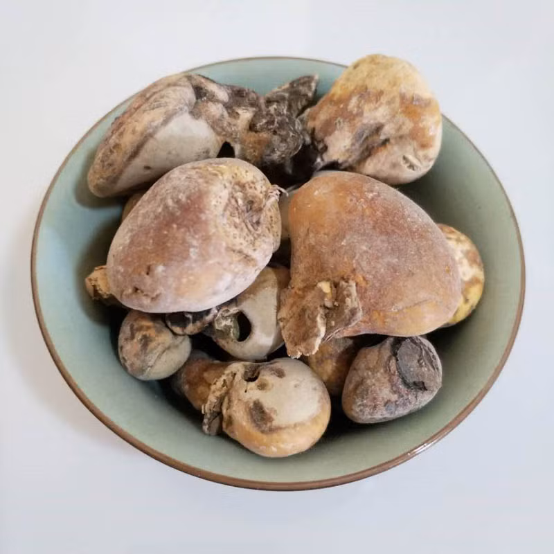 Theo các chuyên gia y học Trung Quốc, quả tu nguyên có thể cải thiện hiệu quả hoạt động của tế bào con người, ức chế quá trình ung thư hóa tế bào.