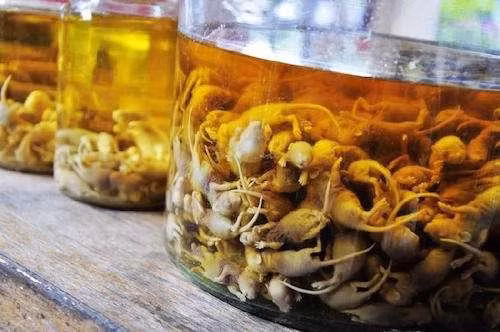 Theo tìm hiểu, rượu chuột ngâm là một loại rượu đặc sản lưu truyền trong dân gian, phụ nữ thôn quê thường uống rượu này để ngăn ngừa phong hàn sau khi sinh, hạn chế bệnh tật.