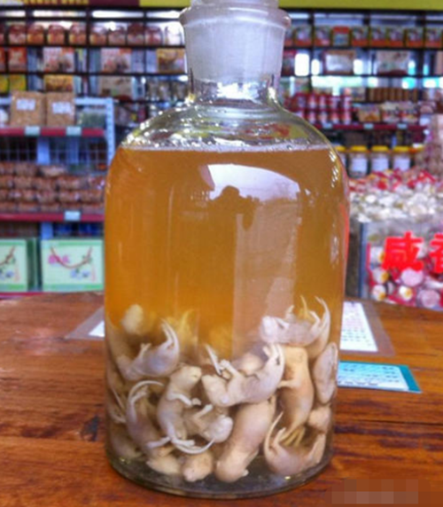  Rượu chuột con là một loại rượu ở Trung Quốc, dùng chuột sơ sinh để ngâm. Người Trung Quốc có câu "một con chuột bằng ba con gà mái" để chỉ tác dụng của loại rượu kinh dị này.