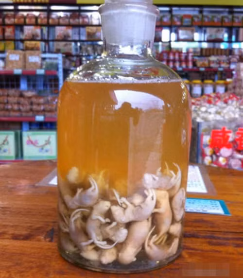  Rượu chuột con là một loại rượu ở Trung Quốc, dùng chuột sơ sinh để ngâm. Người Trung Quốc có câu "một con chuột bằng ba con gà mái" để chỉ tác dụng của loại rượu kinh dị này.