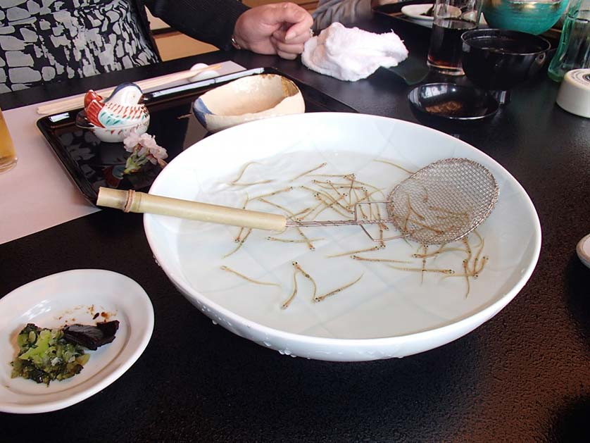 Đây là điểm khiến nhiều người ái ngại, bởi trước khi bị con người ăn sống, những con cá bé nhỏ, trong suốt còn bị tra tấn rất khổ sở.