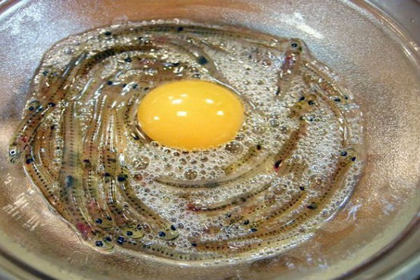 Thực tế, món cá nhảy múa Shirouo đến nay vẫn là một trong những món ăn tàn nhẫn, gây tranh cãi, gặp nhiều phản đối đặc biệt là của những tổ chức hoạt động vì quyền động vật. Tuy vậy không thể phủ nhận rằng, chính cách ăn tàn nhẫn này làm nên đặc trưng của món ăn.