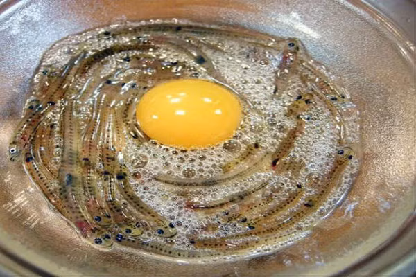 Thực tế, món cá nhảy múa Shirouo đến nay vẫn là một trong những món ăn tàn nhẫn, gây tranh cãi, gặp nhiều phản đối đặc biệt là của những tổ chức hoạt động vì quyền động vật. Tuy vậy không thể phủ nhận rằng, chính cách ăn tàn nhẫn này làm nên đặc trưng của món ăn.