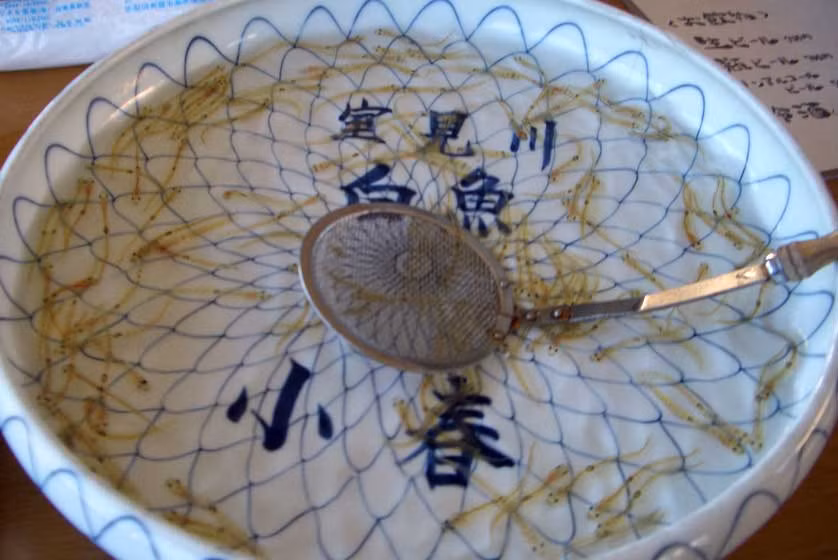 Có một số người nhai sống, còn một số người không nhai mà nuốt chửng những con cá này rồi uống thêm rượu sake. Họ cho rằng đó là cách để cảm nhận được những con cá đang bơi lội, nhảy múa trong dạ dày.