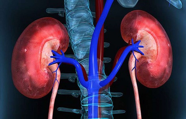 Có thể thấy, hiện tượng nhiễm độc niệu diễn ra không hề âm thầm mà nó sẽ cảnh báo chúng ta qua những triệu chứng trên. Những triệu chứng này xuất hiện càng nhiều thì khả năng bị nhiễm độc niệu càng lớn. Bạn phải chú ý và đến bệnh viện để khám, tránh tình trạng bệnh trở nên trầm trọng hơn.