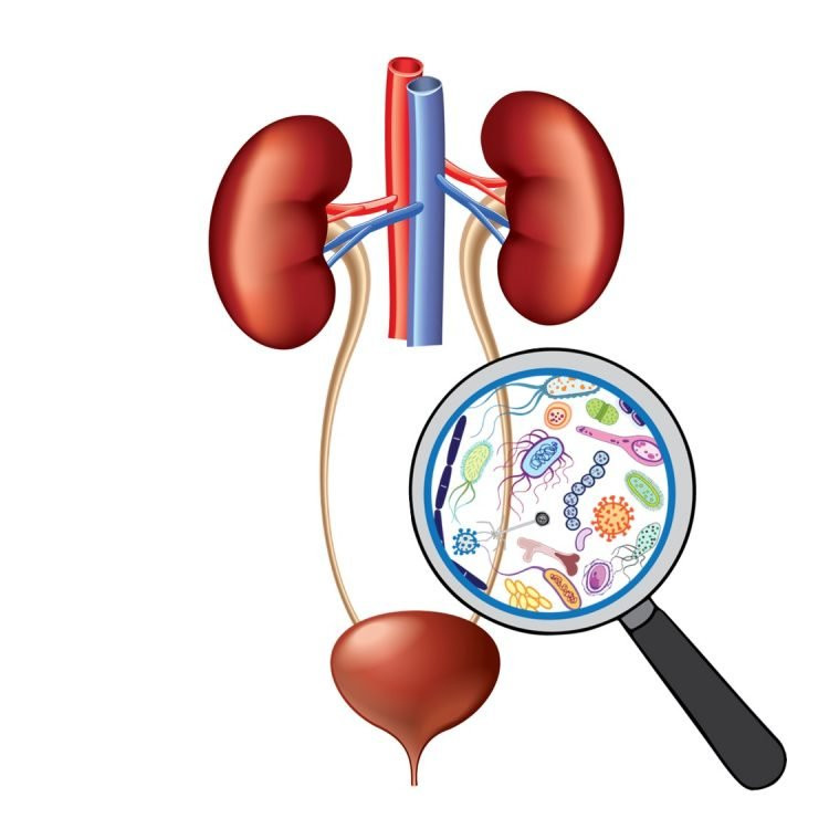 3. Chóng mặt và mệt mỏi: Tình trạng chóng mặt, mệt mỏi rất thường gặp trong cuộc sống. Khi có triệu chứng này, mọi người thường nghĩ là do làm việc quá sức hoặc do thiếu máu, huyết áp thấp.