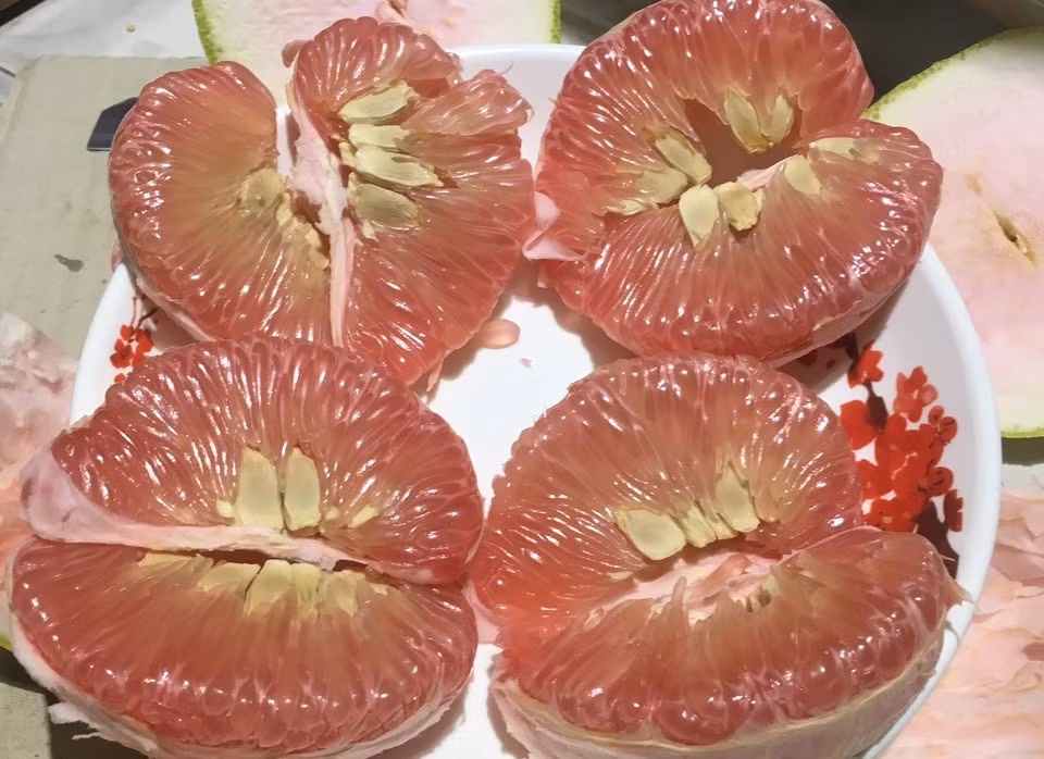 "Cứu, tôi không thể ăn nổi bưởi nữa, y hệt ký sinh trong não hay thứ gì đó giống như nội tạng người bị bệnh", "Vừa nhìn vào tôi đã tê cả da đầu", "Giống ký sinh trùng ngoài hành tinh trong phim viễn tưởng"..., cư dân mạng xôn xao bình luận.