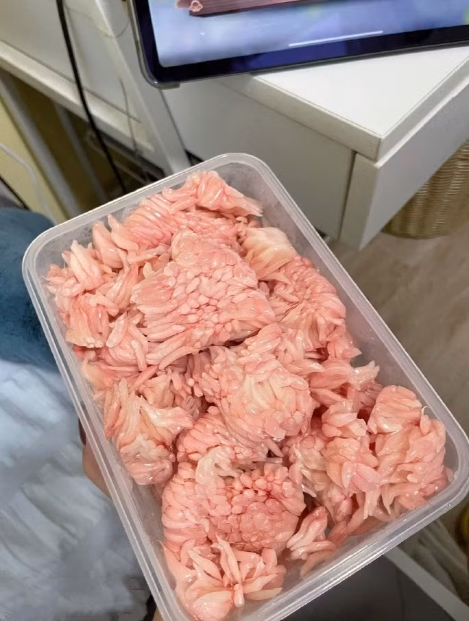 Một cư dân mạng không tin đã tự mình làm thí nghiệm, quyết tâm bóc bưởi rồi để vào ngăn đá. Không ngờ đến khi xong xuôi, quả thật bưởi để ngăn đá có hình dáng ghê rợn, khiến nhiều người nhìn thôi cũng sởn cả da đầu.