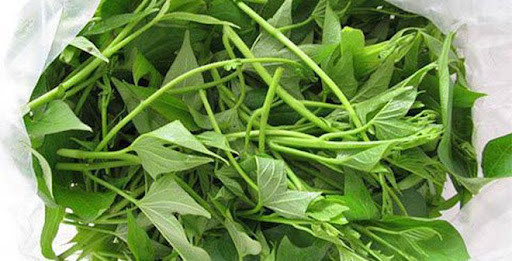 Tuy nhiên những năm gần đây, rau khoai lang đã trở nên phổ biến hơn, được ưa chuộng hơn nhờ những lợi ích mà nó đem lại. Hôm nay chúng ta xem thử, rau khoai lang bổ dưỡng thế nào.