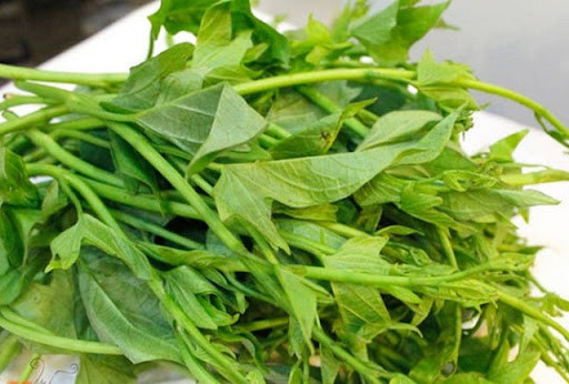 Chất mucin có trong rau khoai lang có thể nâng cao sức đề kháng của cơ thể và giảm thiểu tình trạng bệnh tật. Hàm lượng diệp lục rất cao, có tác dụng giải độc, thanh nhiệt và dưỡng da hiệu quả, có giá trị cao trong việc làm đẹp.