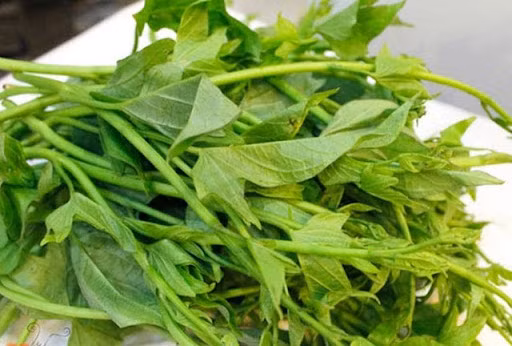 Chất mucin có trong rau khoai lang có thể nâng cao sức đề kháng của cơ thể và giảm thiểu tình trạng bệnh tật. Hàm lượng diệp lục rất cao, có tác dụng giải độc, thanh nhiệt và dưỡng da hiệu quả, có giá trị cao trong việc làm đẹp.