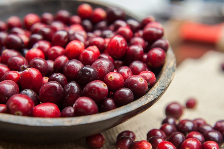 Đồng thời, chất oxy hóa trong nam việt quất cũng cao hơn nhiều so với các loại quả khác, khi kết hợp với một số chất khác, nó cũng có thể giúp ngăn ngừa một số bệnh ung thư.