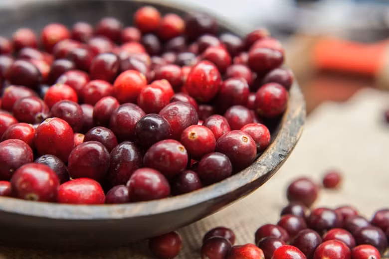 Đồng thời, chất oxy hóa trong nam việt quất cũng cao hơn nhiều so với các loại quả khác, khi kết hợp với một số chất khác, nó cũng có thể giúp ngăn ngừa một số bệnh ung thư.