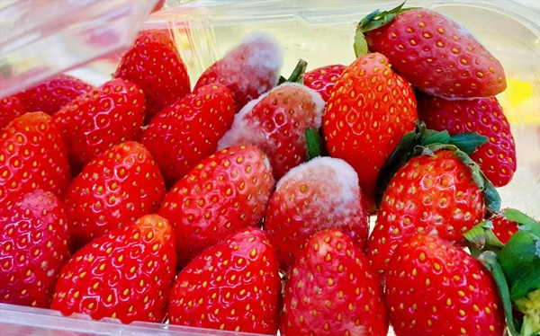 Qua trường hợp này, bác sĩ cũng nhấn mạnh, ung thư chính là căn bệnh gây đau đớn, điều trị khó khăn, chi phí lớn, tỷ lệ tử vong cao. Ngoài di truyền, một số thói quen sinh hoạt và ăn uống không tốt theo thời gian có thể gây ung thư. Hãy bỏ ngay 5 thói quen này nếu muốn khỏe mạnh.