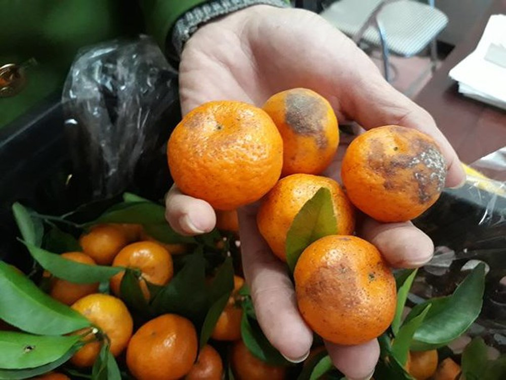 2. Không chịu thay đồ dùng sinh hoạt: Để tiết kiệm chi phí, một số người lâu ngày không thay đồ dùng sinh hoạt, đây là thói quen khiến các đồ dùng này trở thành nơi sinh sôi của vi trùng. Chẳng hạn như thớt và đũa, có gia đình vài năm không thay.