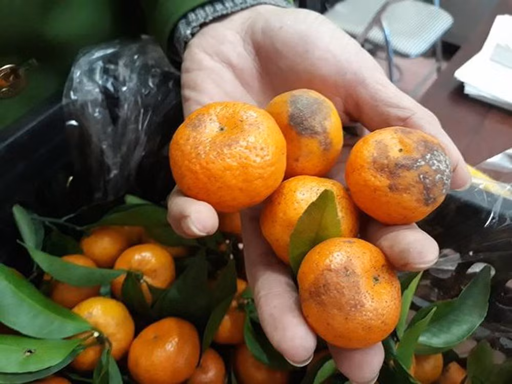 2. Không chịu thay đồ dùng sinh hoạt: Để tiết kiệm chi phí, một số người lâu ngày không thay đồ dùng sinh hoạt, đây là thói quen khiến các đồ dùng này trở thành nơi sinh sôi của vi trùng. Chẳng hạn như thớt và đũa, có gia đình vài năm không thay.