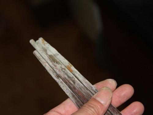 Do đó, việc thay thế thớt, đũa và các vật dụng khác kịp thời là rất quan trọng. Nên thay mới sáu tháng một lần. Nếu nấm mốc đã xuất hiện, hãy nhớ vứt bỏ và không tiếp tục sử dụng.