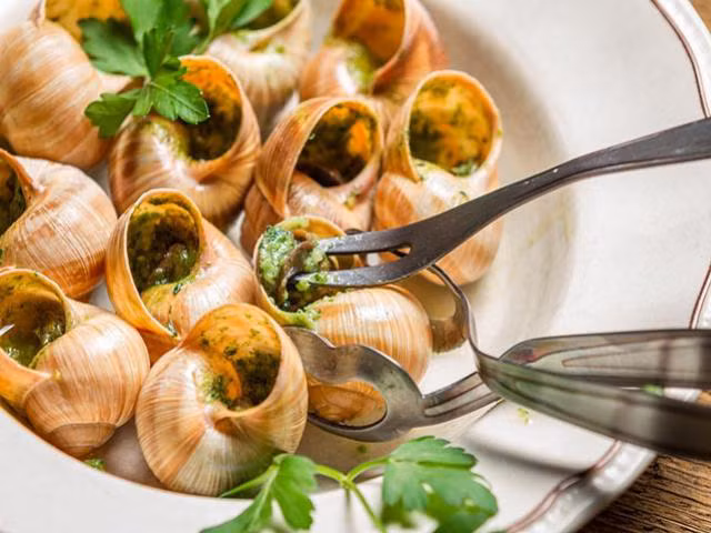 Ốc sên sau khi được làm sạch, lấy ra khỏi vỏ và nấu chín (thường là nướng và thường được nấu chung với bơ tỏi, gà hoặc rượu vang), sau đó được đặt trở lại vào vỏ kèm với bơ, rau mùi tây, kem bọt tỏi và nước sốt để phục vụ thực khách.