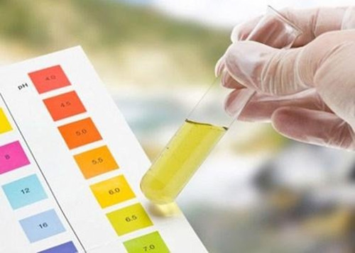 Đồng thời, khi nước tiểu có màu trắng hơi giống màu sữa đi kèm đái buốt, đái dắt, chủ yếu là do gần đây bạn làm việc quá sức hoặc tiêu thụ quá nhiều thức ăn nhiều chất béo. Hãy giảm hai nguyên nhân trên xem nước tiểu của bạn có dần trở lại bình thường hay không. Nếu không, đến bệnh viện ngay.