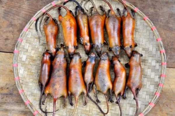 Chuột ở cao nguyên đá Hà Giang là những con chuột đồng, thường có thể săn bắt quanh năm, tuy nhiên vào mùa thu hoạch lúa là mùa chuột nhiều nhất.