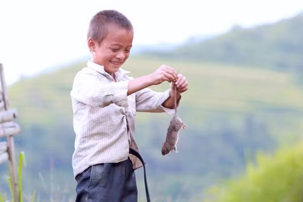 Không chỉ thế, tại La Chí, thịt chuột rất quan trọng trong các lễ cúng, từ cúng tổ tiên, cúng lúa mới, cúng xuống đồng hay các lễ hiến tế thần linh. Lễ nào cũng phải có món thịt chuột.