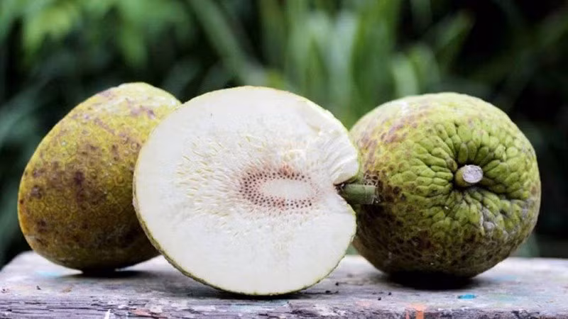 Sake cũng nguồn cung dồi dào của kali, chất này giúp làm giảm huyết áp trong cơ thể, kiểm soát được nhịp tim đồng thời dẫn truyền các điện tích thúc đẩy sự co cơ trong hệ thống xương bao gồm cả tim hoạt động tốt hơn.