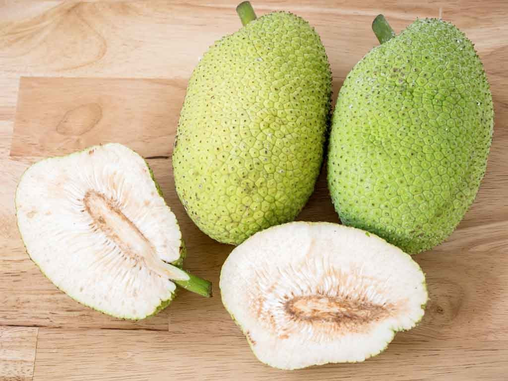 Thêm vào đó lượng lớn vitamin C trong sake giúp thúc đẩy sản xuất collagen, mang lại độ đàn hồi cho da, giúp da săn chắc. Chiết xuất trái sake tươi ức chế hoạt động của các enzym gây viêm và ngăn cản sản xuất quá nhiều oxit nitric, từ đó ngăn ngừa tình trạng viêm da.