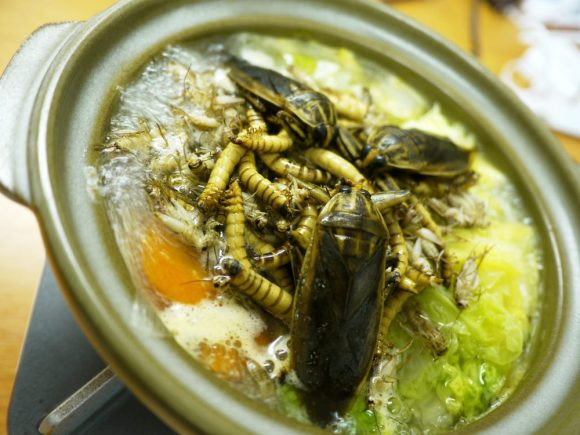 Lẩu gián cùng sâu, món ăn kinh dị khiến nhiều người từ bỏ luôn cả món lẩu vì quá ám ảnh. Theo một số người từng ăn, món này có mùi nồng và không dễ ăn như gián chiên giòn.