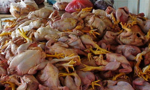 Với phụ nữ mang thai, Toxoplasma Gondii có thể gây nên những biến chứng nguy hiểm như lây truyền sang bào thai, sẩy thai hoặc thai lưu, trẻ sinh ra bị não úng thủy, động kinh… nhất là khi mẹ bầu nhiễm bệnh trong tam cá nguyệt thứ nhất.