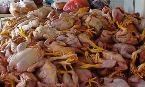 Với phụ nữ mang thai, Toxoplasma Gondii có thể gây nên những biến chứng nguy hiểm như lây truyền sang bào thai, sẩy thai hoặc thai lưu, trẻ sinh ra bị não úng thủy, động kinh… nhất là khi mẹ bầu nhiễm bệnh trong tam cá nguyệt thứ nhất.