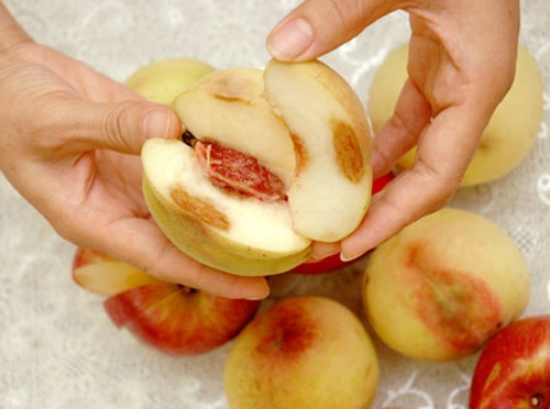 2. Trái cây và rau quả hư thối: Nhiều gia đình tương đối tằn tiện, khi hoa quả, rau dưa hư thối không vứt bỏ đi ngay mà chỉ gọt bỏ đi phần thối. Nhiều thí nghiệm, nghiên cứu đã khẳng định, phần lành lặn của hoa quả hư thối vẫn có rất nhiều nấm và vi khuẩn. Dù không thể nhìn thấy bằng mắt thường nhưng cực kỳ có hại.