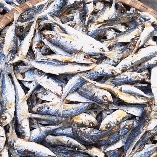 Trữ natri tăng huyết áp mà còn có thể gây tổn thương trực tiếp đến niêm mạc đường tiêu hóa, dẫn đến các bệnh tiêu hóa mãn tính xảy ra, bao gồm viêm, loét và tăng nguy cơ ung thư dạ dày.