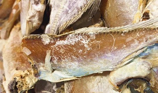 Cũng đã có những nghiên cứu khoa học chỉ ra rằng, trẻ em dưới 10 tuổi sử dụng món cá muối thường xuyên có nguy cơ mắc bệnh ung thư vòm họng khi trưởng thành cao hơn người bình thường.