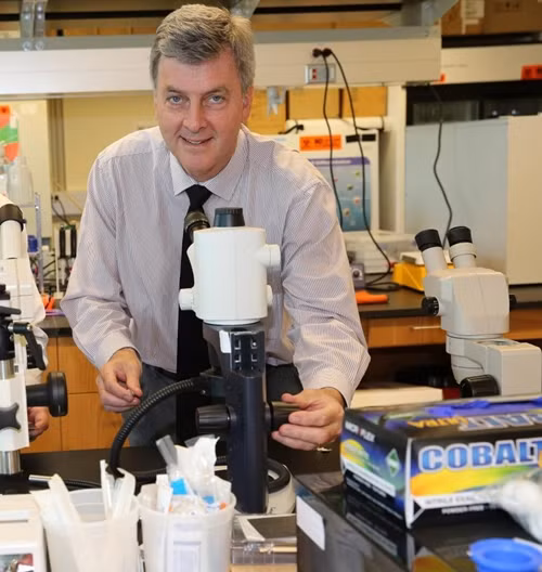 Bien chung Delta hoanh hanh nhung chet chac boi chat khu trung nay-Hinh-3