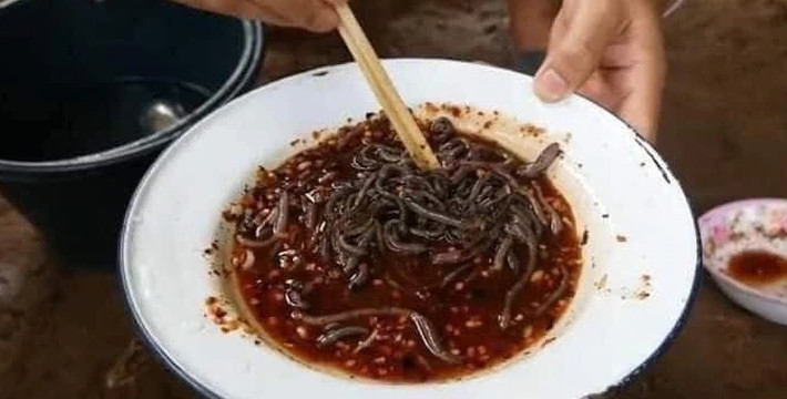 Qua tìm hiểu, món giun đất sốt chua cay này không phải là đặc sản ở Thái Lan, nó là món ăn kinh dị được truyền miệng và không phải người Thái Lan nào cũng dám ăn. Thậm chí có người còn nói, chỉ nhìn thôi họ cũng đã buồn nôn, nôn mửa ngay lập tức chứ chưa nói đến ăn.