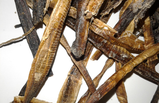 Hiện nay các thầy thuốc Đông y sử dụng địa long trong điều trị, nhưng không dùng đơn thuần một vị thuốc địa long mà tùy theo thể bệnh, tùy từng trường hợp bệnh cụ thể, giai đoạn bệnh mà kết hợp vị thuốc địa long với các vị thuốc khác để điều trị.