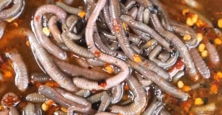 Theo một tài khoản Facebook ở Thái Lan, món ăn này thực sự thách thức người ăn cũng như người xem. Những con giun dù bị ngâm trong nước sốt vẫn không ngừng uốn éo. Người đàn ông dùng đũa để gắp những con giun này lên ăn sống, như đang ăn mì khiến nhiều người không khỏi khiếp sợ.