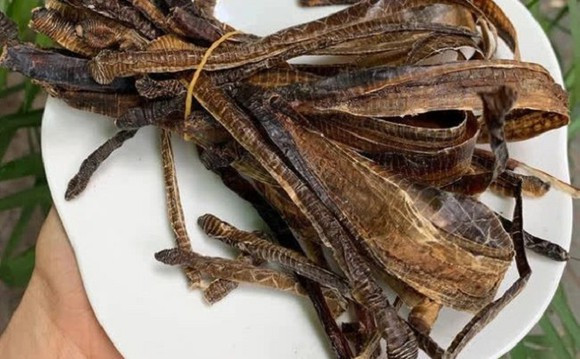 Bởi khi nuốt sống địa long, nếu dịch acid trong dạ dày tiêu diệt địa long thì không sao, nhưng nếu địa long không chết trong môi trường dịch acid của dạ dày, nó sẽ chui lên ống mật gây các cơn đau quặn gan do giun chui ống mật rất nguy hiểm, người bệnh cần đi cấp cứu ngay.