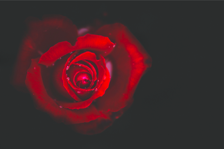 Khoa học chứng minh, trong lúc cãi vã, thần kinh giao cảm của cơ thể con người hưng phấn cao độ, dễ bị kích thích hơn cả uống nhiều trà, cà phê đậm đặc. Lúc này tim đập nhanh và dữ dội gây rối loạn nhịp tim, có thể gây thiếu máu cơ tim, nhồi máu cơ tim, thậm chí đột tử.