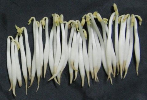 Gan đóng vai trò dọn dẹp, phân hủy các chất độc hại và đào thải chúng ra khỏi cơ thể. Khi gan bị tổn thương, không thực hiện được chức năng giải độc thì lúc này gan giống như "thay tính đổi nết" biến chất trở thành cội nguồn của mọi bệnh tật. Chính vì thế, việc bảo dưỡng, tráng các việc làm hại gan hàng ngày là rất quan trọng.