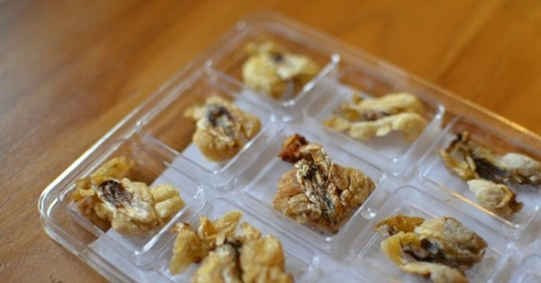 Món đặc sản kinh dị hasma hay cáp tuyết cao là một trong những đặc sản Trung Quốc vô cùng đặc biệt. Trên thực tế, món hasma không chỉ là đặc sản, nó còn được xem là vị thuốc dân gian, có dưỡng chất giúp phụ nữ kéo dài tuổi thanh xuân, trở nên trẻ đẹp.