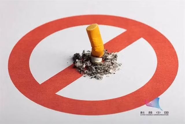  Chất gây ung thư trong phòng ngủ, phòng làm việc hoặc phòng khách: Đầu tiên là khói thuốc. Hút thuốc lá không chỉ có hại cho bản thân (hút thuốc chủ động) mà còn gây tổn hại lớn cho những người xung quanh (hút thuốc lá thụ động), nghiêm trọng hơn là một số chất tồn tại trong nhà có thể gây hại lâu dài. Ảnh minh họa.