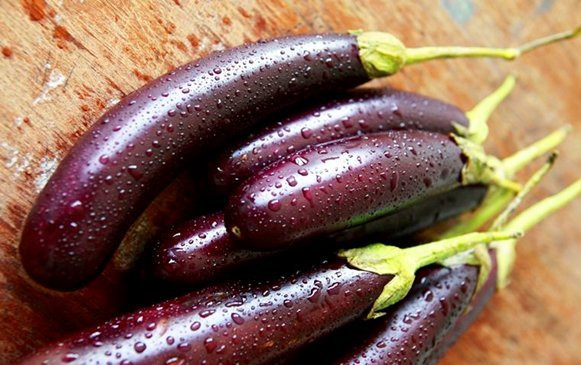 Báo cáo khoa học cho thấy, cà tím rất giàu nguyên tố vi lượng và nhiều loại ancaloit, đặc biệt là vitamin, rất có lợi cho cơ thể con người. Nó có thể ức chế hiệu quả sự phát triển và sinh sôi của tế bào ung thư.