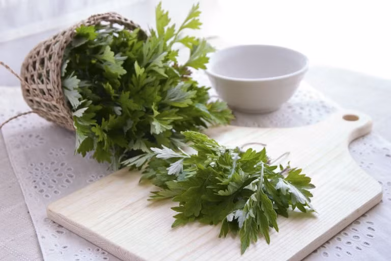 Thực tế, có rất nhiều cách để giữ gìn sức khỏe tốt. Tác dụng của việc ngâm chân bằng nước ngải cứu cũng vậy, không những giúp giãn cơ, hoạt huyết mà còn nâng cao thể lực. Việc này lại rất đơn giản và tiện lợi, bạn cũng nên thử xem.