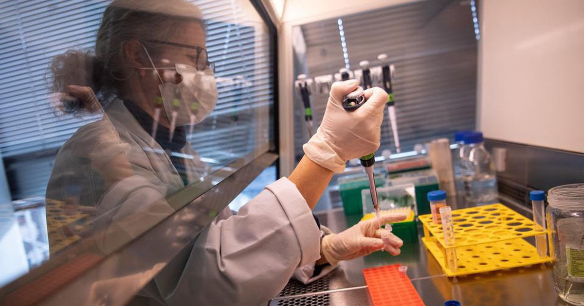 Ngoài ra, một nghiên cứu gần đây nhất kết luận XAV-19 được dung nạp tốt ở những bệnh nhân nhiễm Covid-19 nhập viện vì viêm phổi mức độ vừa và cần bổ sung oxy lưu lượng thấp. Chúng có khả năng ngăn chặn thành công sự khuếch tán của virus ở người, chưa có tác dụng phụ nghiêm trọng liên quan đến thuốc nghiên cứu, hỗ trợ việc lựa chọn phác đồ cho các bệnh nhân.