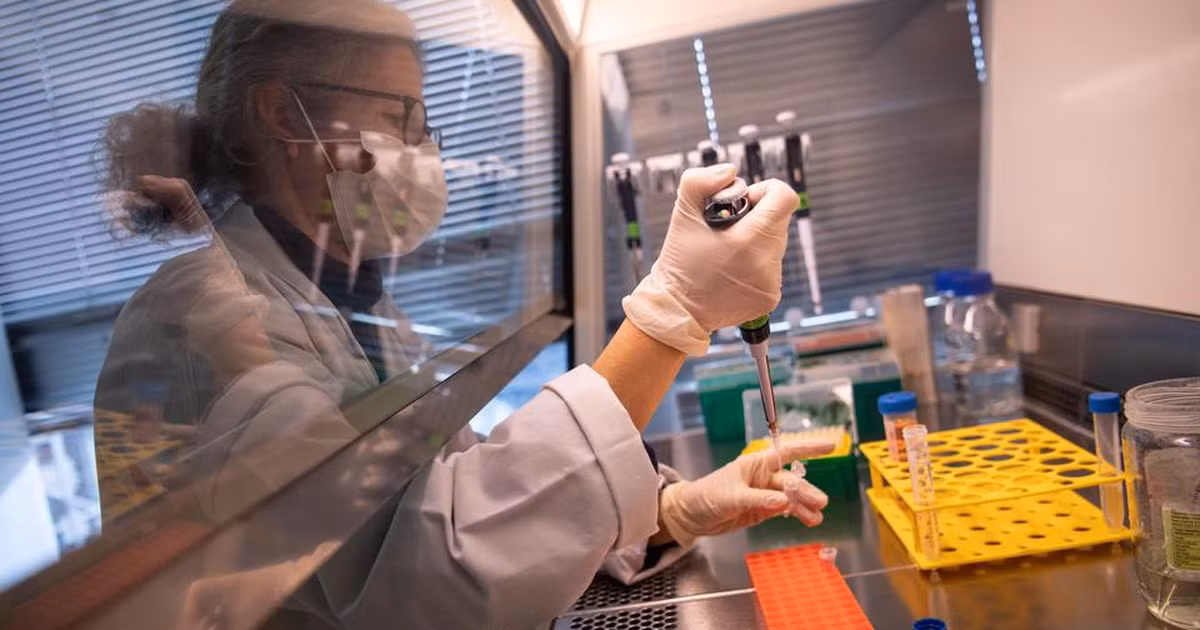 Ngoài ra, một nghiên cứu gần đây nhất kết luận XAV-19 được dung nạp tốt ở những bệnh nhân nhiễm Covid-19 nhập viện vì viêm phổi mức độ vừa và cần bổ sung oxy lưu lượng thấp. Chúng có khả năng ngăn chặn thành công sự khuếch tán của virus ở người, chưa có tác dụng phụ nghiêm trọng liên quan đến thuốc nghiên cứu, hỗ trợ việc lựa chọn phác đồ cho các bệnh nhân.